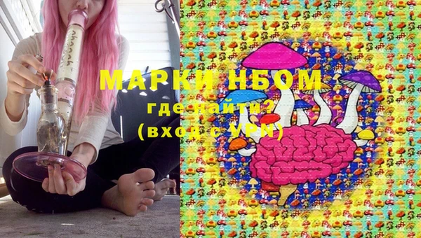 PSILOCYBIN Алзамай