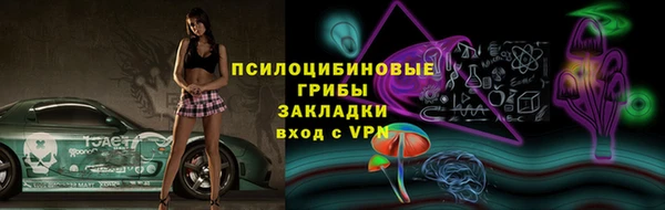 PSILOCYBIN Алзамай