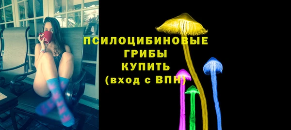 PSILOCYBIN Алзамай