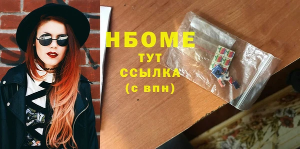 PSILOCYBIN Алзамай