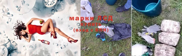 PSILOCYBIN Алзамай