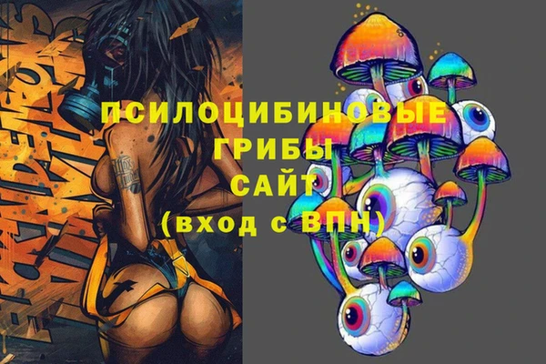 PSILOCYBIN Алзамай
