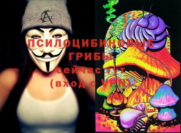 прущий лед Алексин
